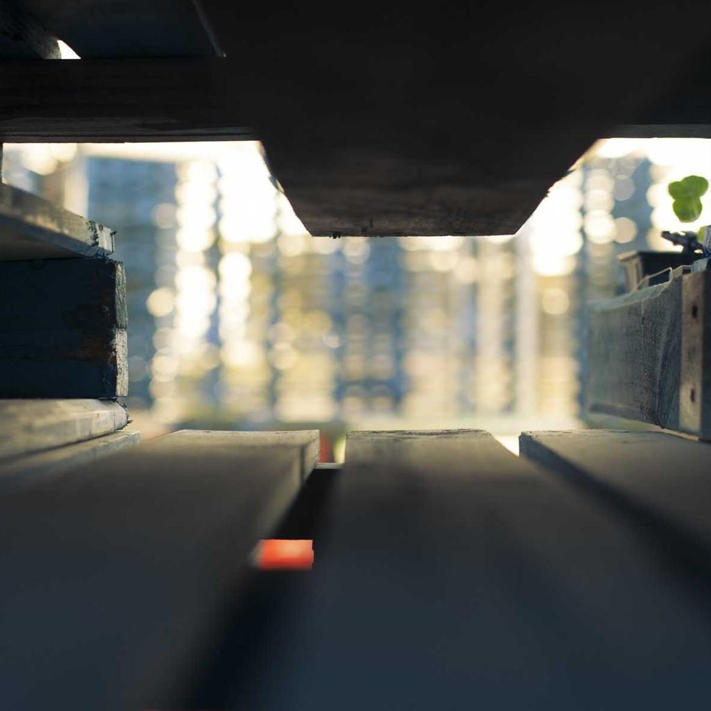 Bokeh - professional stock photography