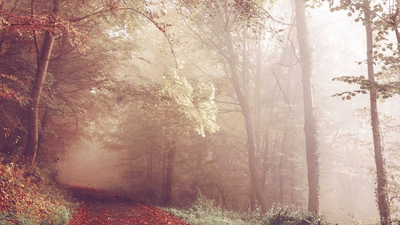 Bokeh - professional stock photography