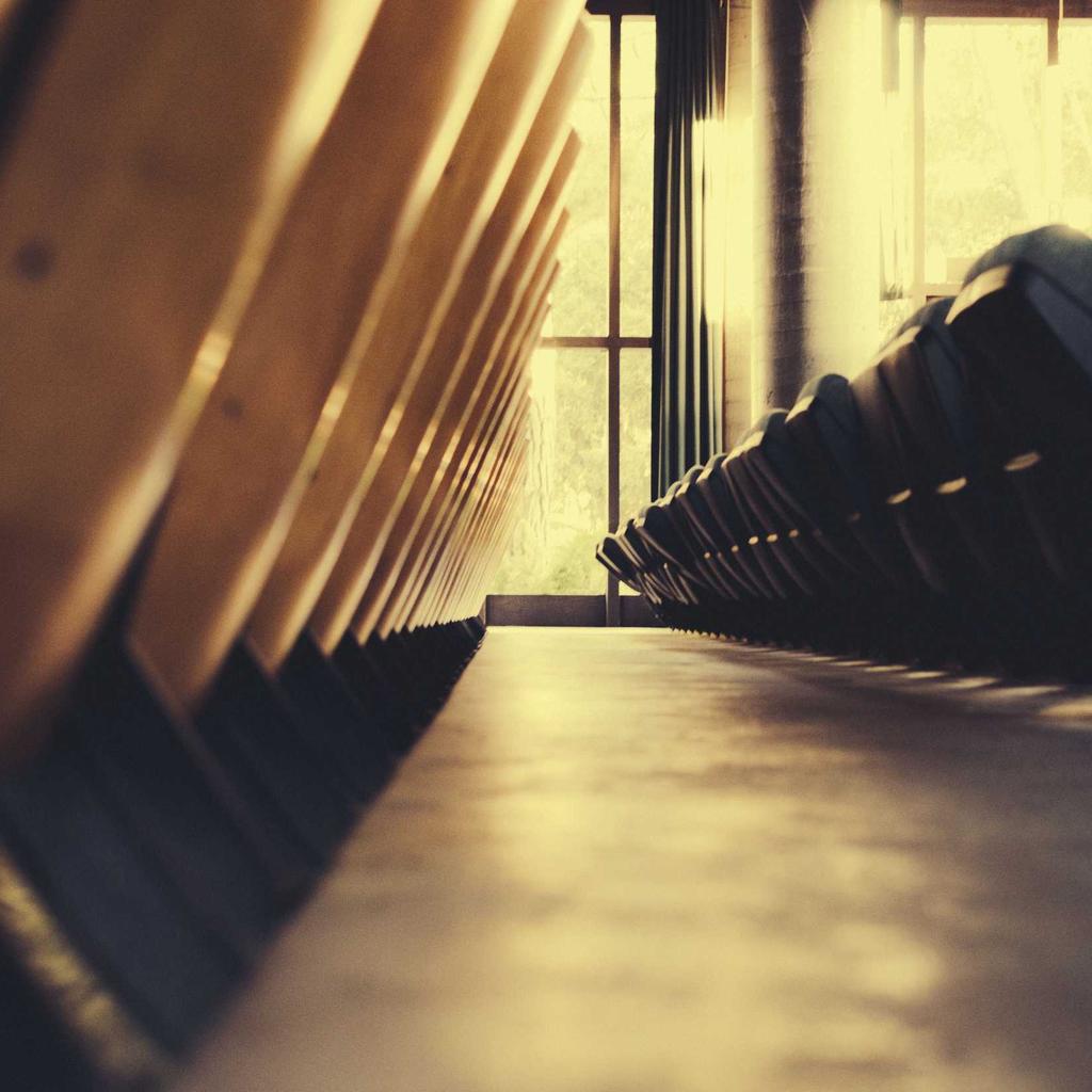 Bokeh - professional stock photography