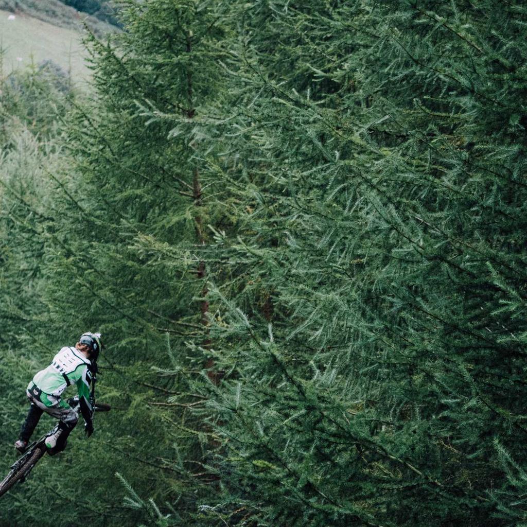 Camera - professional stock photography