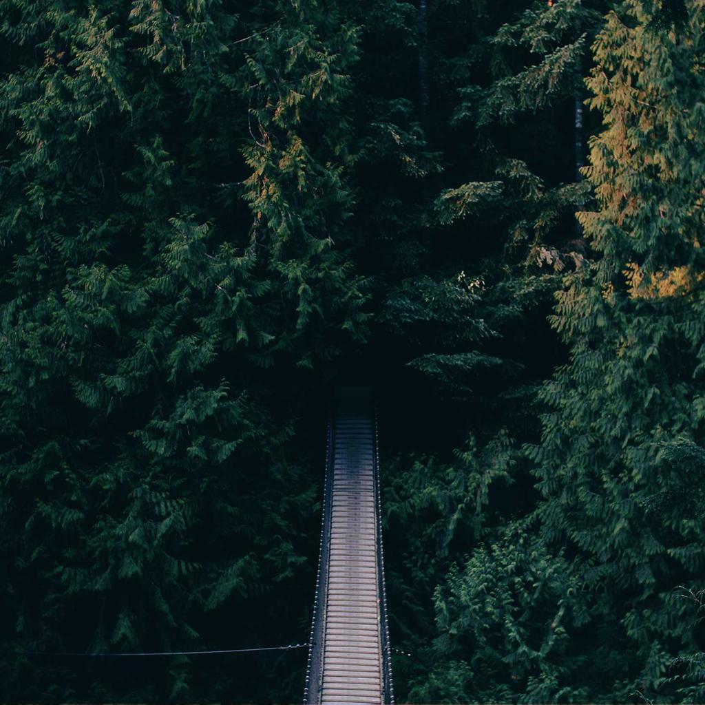 Composition - professional stock photography