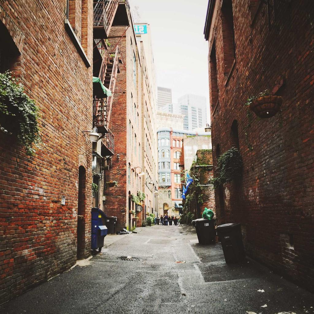 Drone Shot - professional stock photography