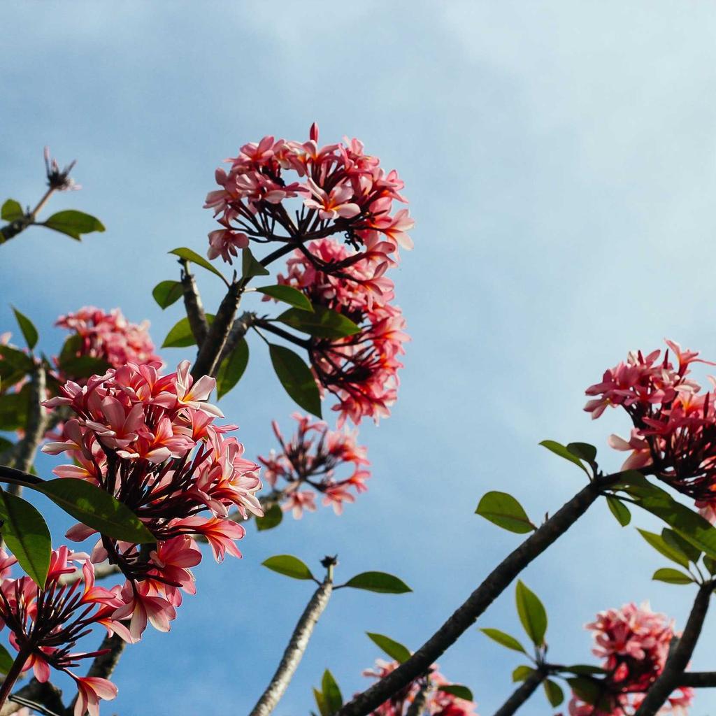 Editing - professional stock photography