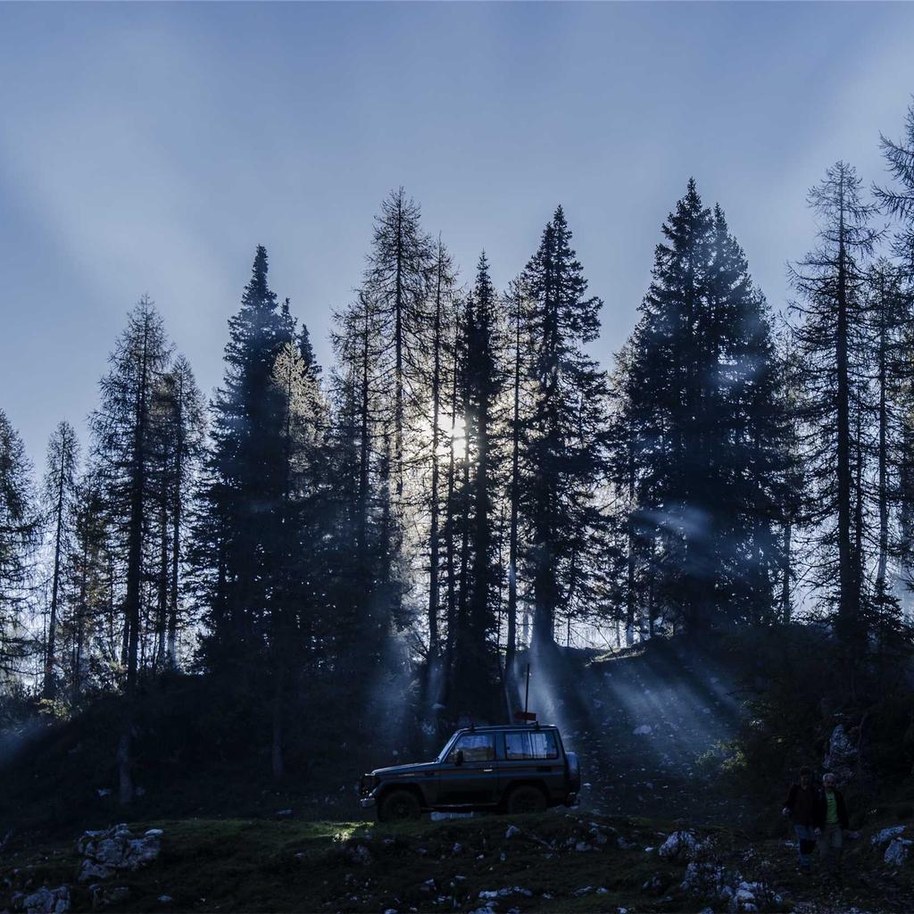 Filter - professional stock photography