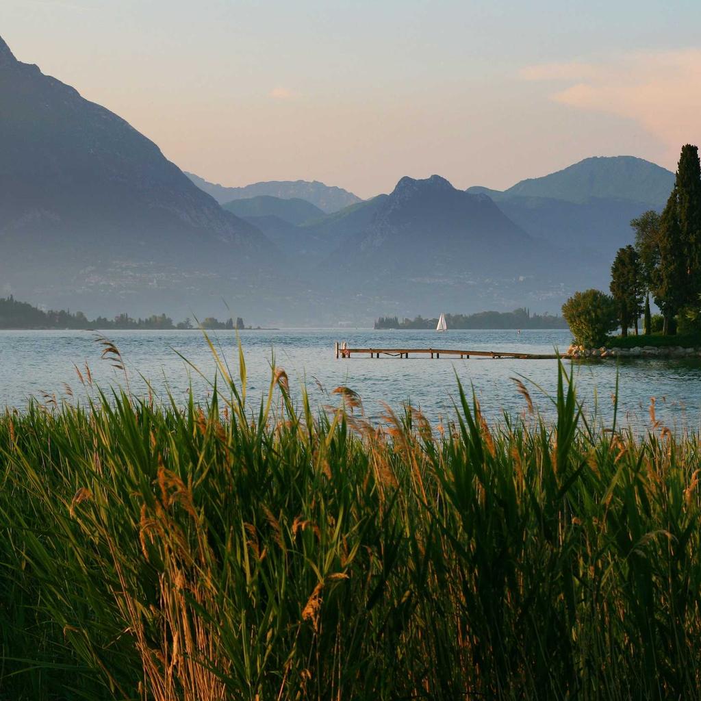 Filter - professional stock photography