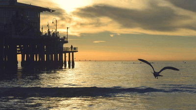 Flash - professional stock photography