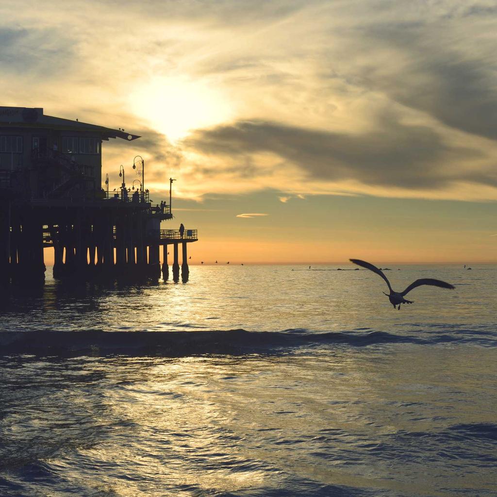 Flash - professional stock photography