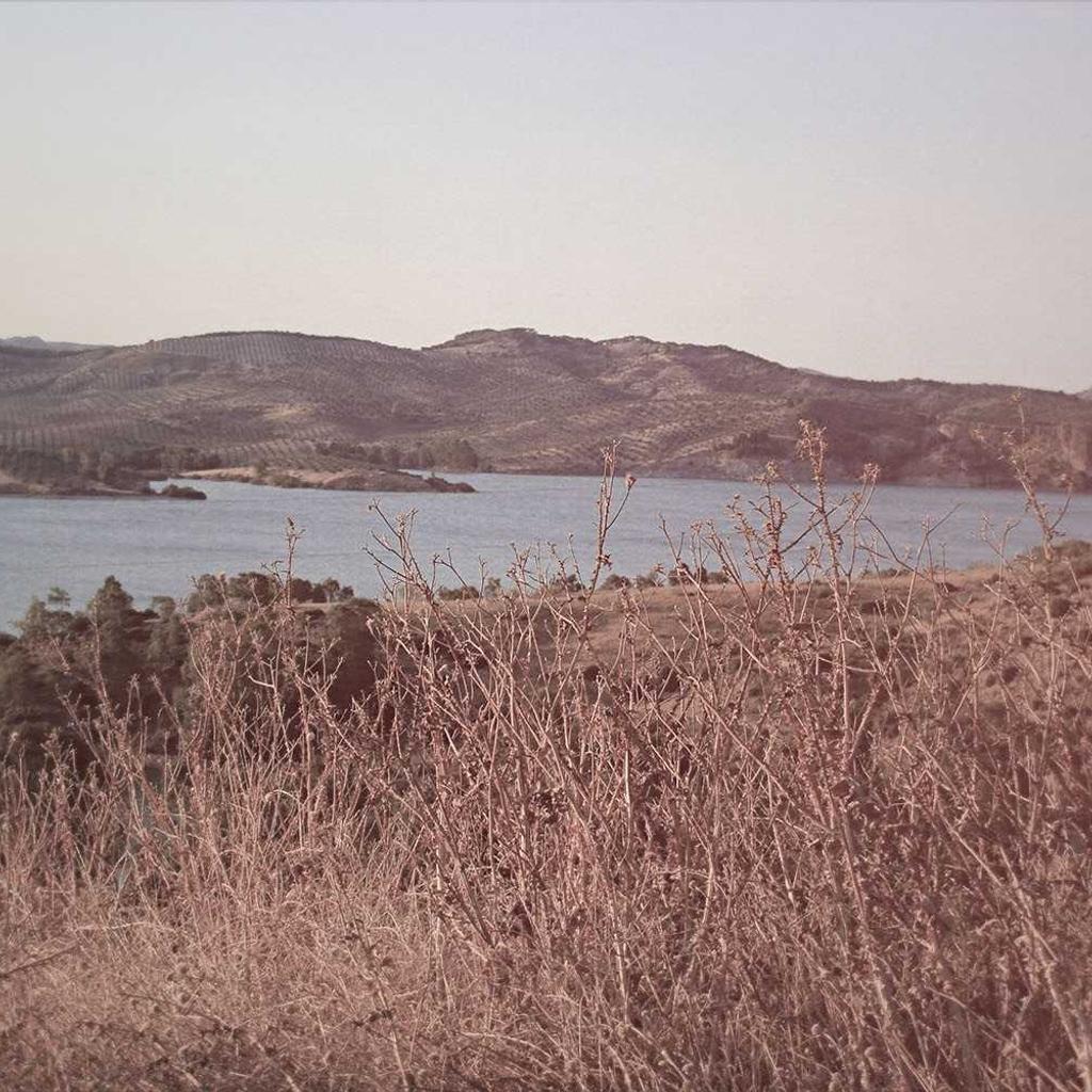 Lens - professional stock photography