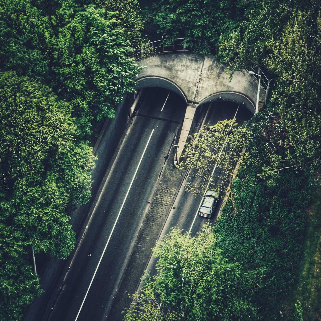 Portrait - professional stock photography