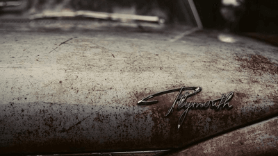 Portrait - professional stock photography