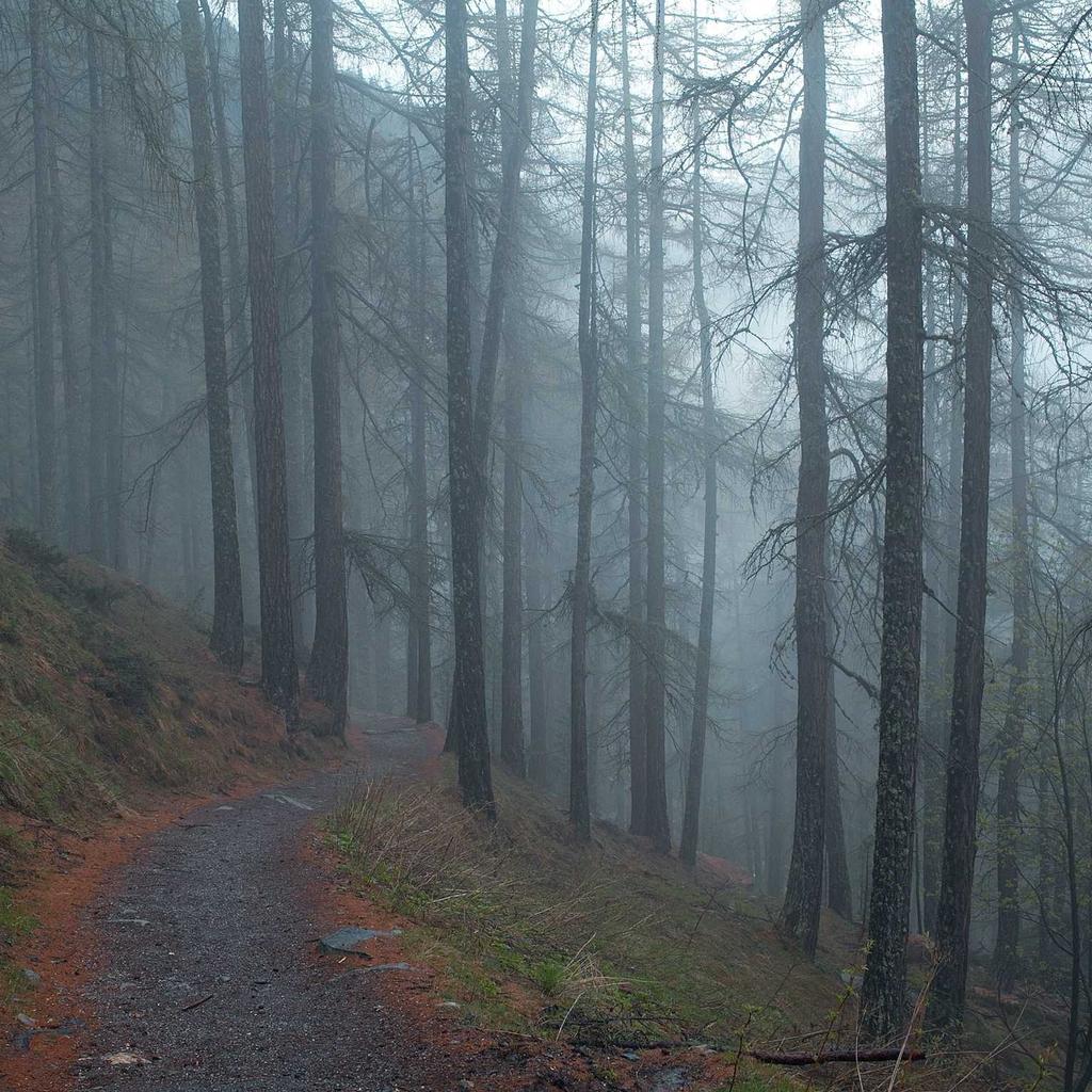 Studio - professional stock photography