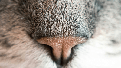 Studio - professional stock photography