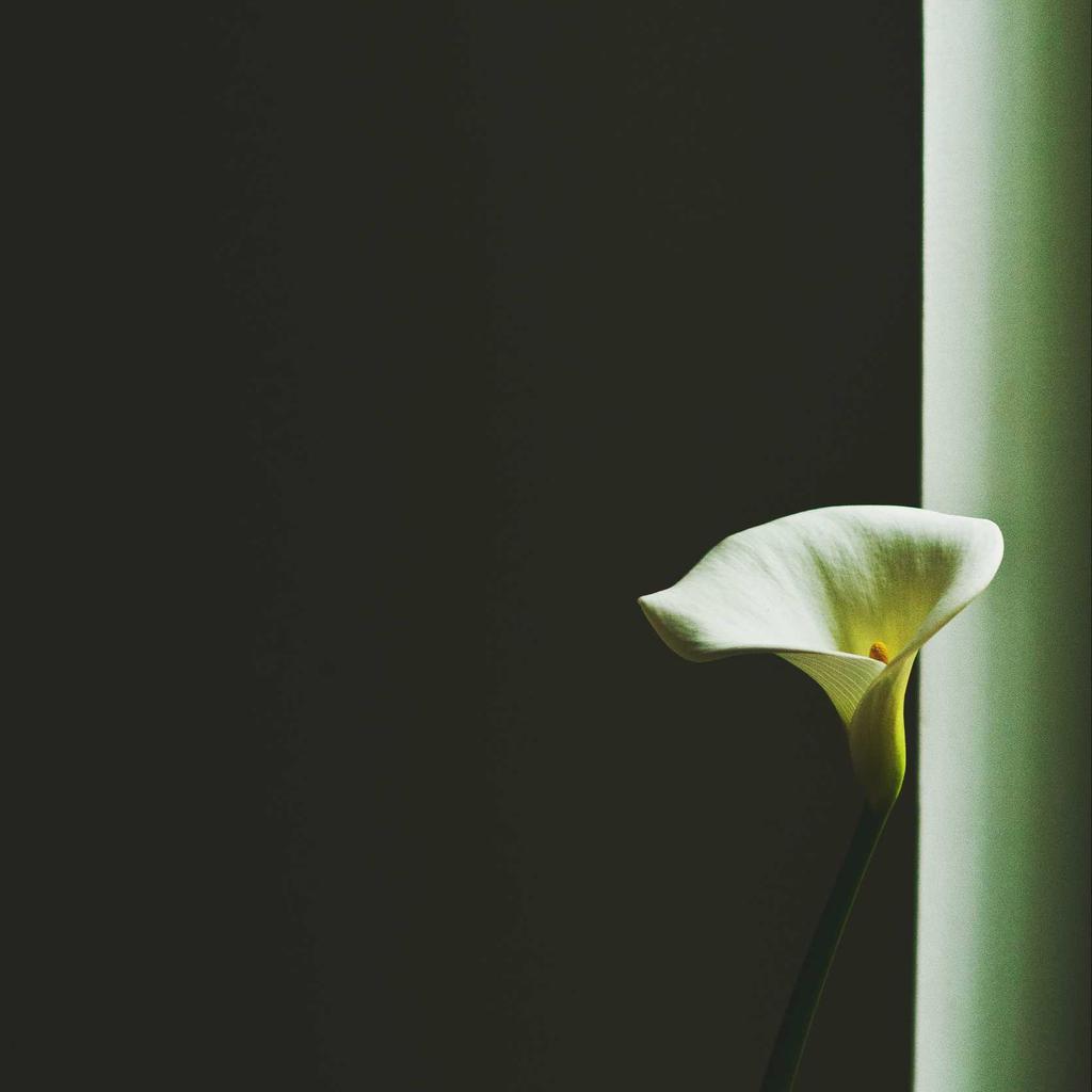 Tripod - professional stock photography